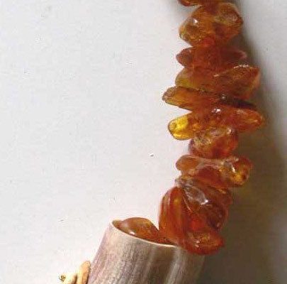 Collier : dent de phacochère, ambre ...